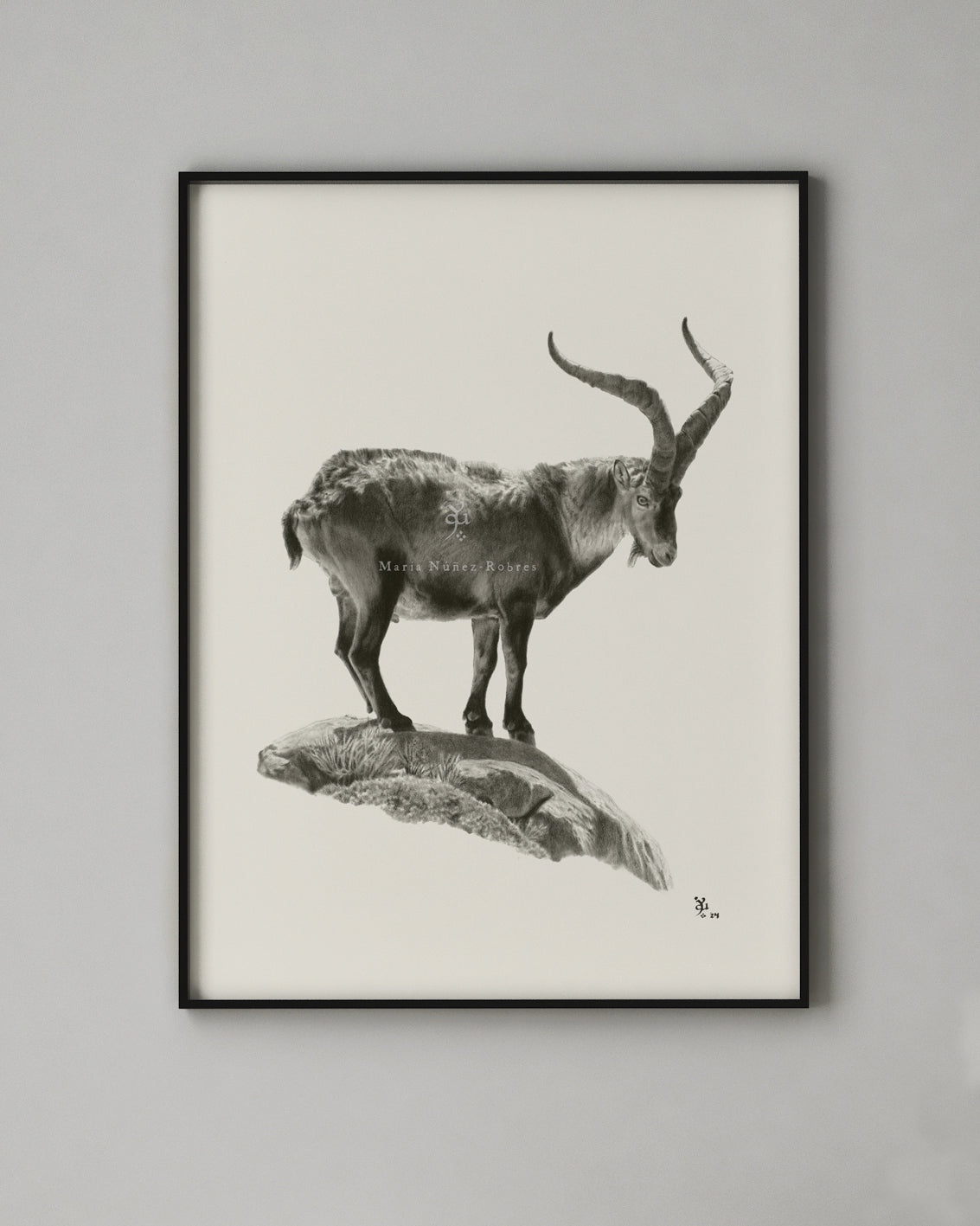 "Gredos" Edición Limitada