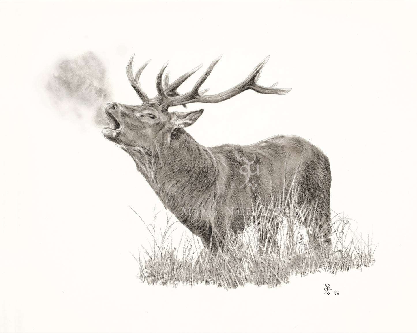 "Venado en berrea" Edición Limitada