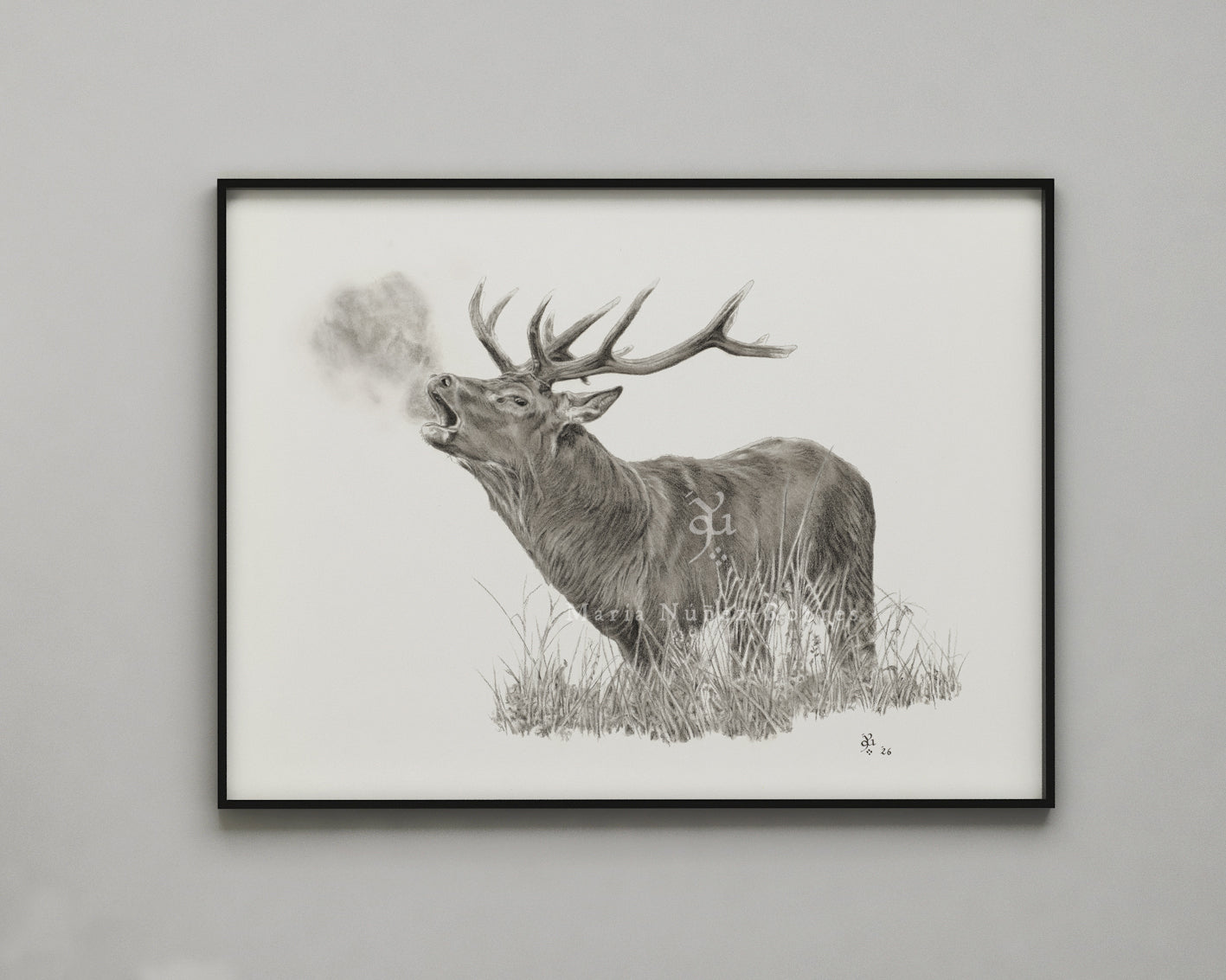 "Venado en berrea" Edición Limitada